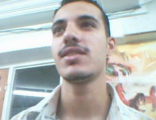 alae